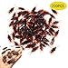 Frebento OJYUDD 200 PCS Fake Cockroach