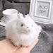SCASTOE Hare Rabbit Figurine Collection Miniature Furry Animals Plush Children Toy