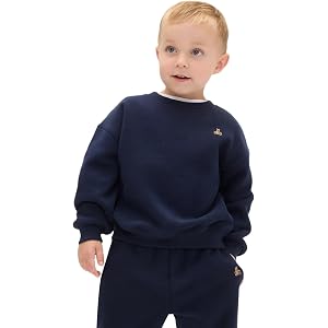 GAP Baby Boys' Icon Pullover Hoodie