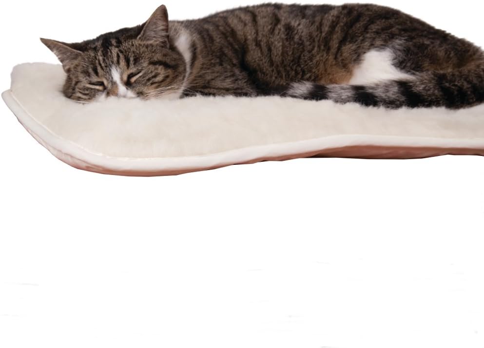 MagneHealth Small Therapy Dog Bed Cat Bed Arthritis Relief