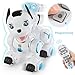 Toch RC Robot Dog, Cute Pets Smart Intelligent Walk Sing Dance Dog for Kids Toddler Birthday Gift