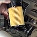 FL2016 Oil Filter for Ford F250 Super Duty F350 Super Duty E350 Super Duty Excursion E350 Club Wagon E450 Super Duty Engine Oil Filter FL2016 3C3Z6731AA Included O-rings for Housing and Cap (set of 1)