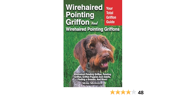 wirehaired pointing griffon georgia