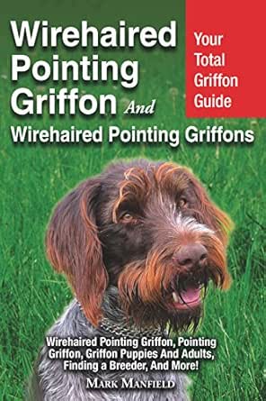 wirehaired griffon price