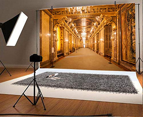 LFEEY 5x3ft Shwedagon Pagoda in Yangon Backdrop Vinyl Photography Background Myanmar Famous Sacred Place and Tourist Attraction Landmark Tourist Sites Photo Studio