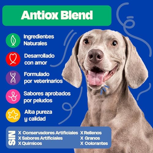 Dogelthy Antiox Blend Suplemento Antioxidante Natural para Perros. Apoya el Envejecimiento Saludable y Sistema Inmune. Polvo Sabor Cerdo 270 g