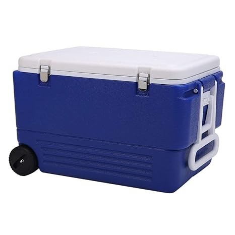 LIYANLCX Refrigerador para Acampar con Capacidad de 80 l/Nevera ...