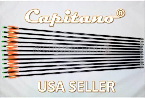 Capitano Archery Fiberglass Target Practice Arrows Replaceable Screw-in Tips