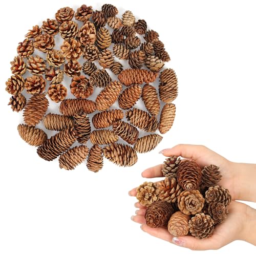 60 Pcs Large Natural Pine Cones for Crafts, 3 Kinds of Pine Cones. Christmas Pine Cones Ornaments- Fall Small Pinecones Vase Fillers for DIY Crafts, Home Decorations, Fall and Christmas, Wedding Decor