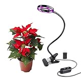 Led Grow Light 10 W Desk Lamp Clip for Indoor Plant & Hydroponics – BOOCOSA