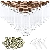 SUPERLELE Glass Bottles with Cork 48pcs 20ml