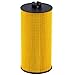FL2016 Oil Filter for Ford F250 Super Duty F350 Super Duty E350 Super Duty Excursion E350 Club Wagon E450 Super Duty Engine Oil Filter FL2016 3C3Z6731AA Included O-rings for Housing and Cap (set of 1)