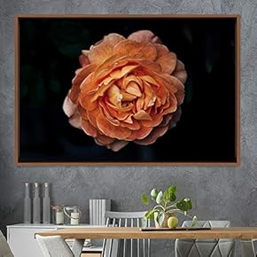 signwin Framed Canvas Wall Art Rose Bohemian Dark...