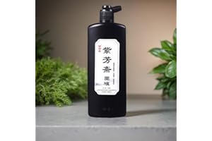 Flmouce Sumi Ink, Chinese Calligraphy Ink, Liquid Black Carbon Ink, Manga Ink (500ml (17oz), Black)