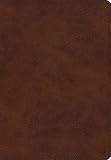 ESV Giant Print Bible (TruTone, Deep Brown)