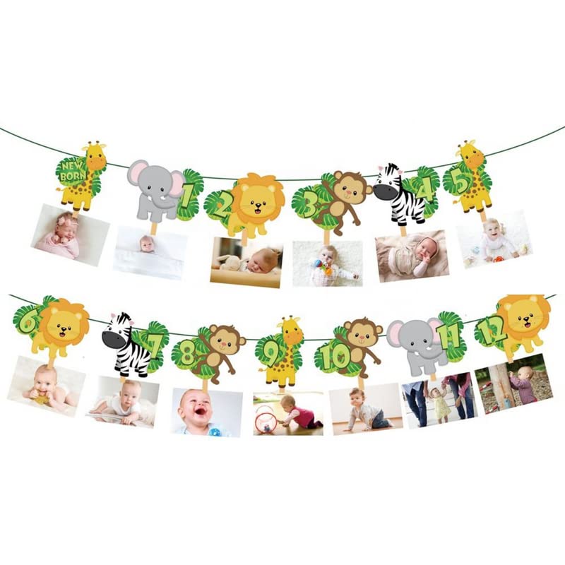 Ali's Creationz 1st Birthday Decorations For Boys Girls, Wild One Birthday Decorations, Animal Photo Banner, Jungle Safari Animal Banner Set,