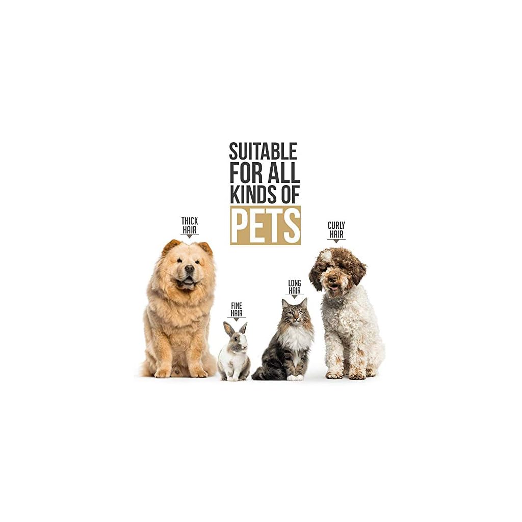 PetKing Leise Hundeschermaschine Schermaschine Hund Profi