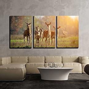 3 Piece Canvas Wall Art - Deer in Autumn Field - Modern Home Art Stretched and Framed Ready to Hang - 16"x24"x3 Panels