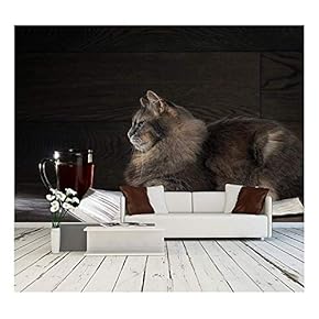 Gray Big Cat Lies on The Open Book. Nearby Stands a Cup of Tea or Coffee - Removable Wall Mural | Self-Adhesive Large Wallpaper - 66x96 inches