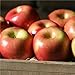 Gala Apples Fresh Produce Fruit, 3 LB Bag