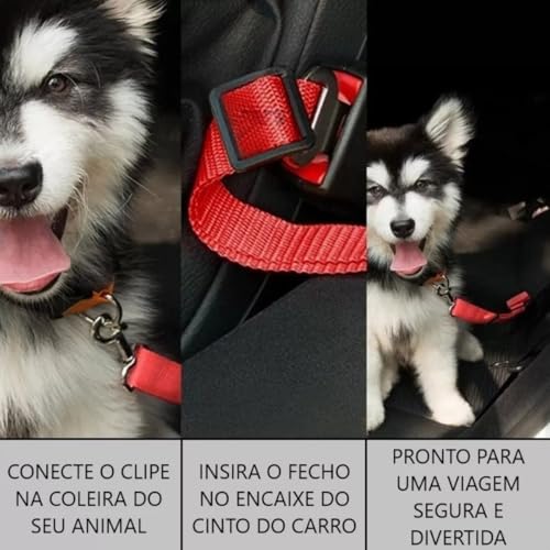 Cinto de Segurança para Animais de Estimação, Coleira e Colete com Fivela Ajustável, Resistente para Cães e Gatos