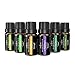 Anjou Essential Oils Set, Top 6 Upgraded 2019 Version Aromatherapy Oils, Include Lavender, Tea Tree, Eucalyptus, Lemongrass, Orange, Peppermint, Set of 6 Pcs/10mL