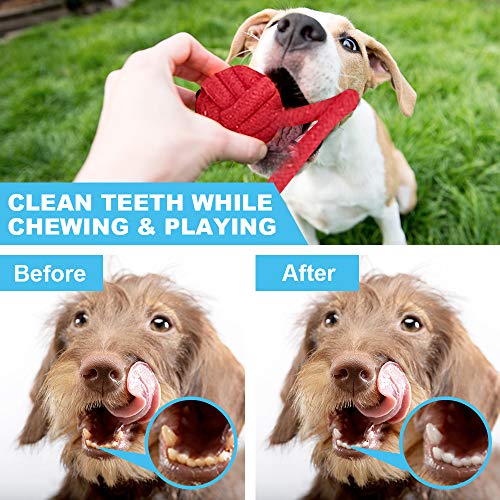 DELOMO Dog Rope Toys, 12 Pack Dog Rope Toys,Dog Chew Toys, Dog Playing Toys, Washable, Nearly Indestructible, 100% Natural Cotton Dog Rope Toy Set, Teething Toy for Small Dogs & Puppy