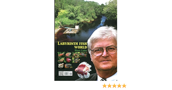 Labyrinth Fish World Horst Linke 9789868452770 Amazon Com Books