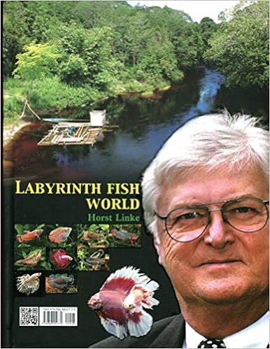 Labyrinth Fish World Horst Linke 9789868452770 Amazon Com Books