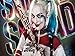 Harley Quinn Suicide Squad Edible Image Cake Topper Party Personalized 1/4 Sheet (1/4 icing sheet)