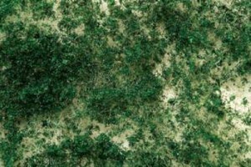 Bachmann Trains Foliage - Dark Green - Medium