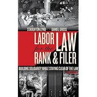 Labor Law for the Rank & Filer: Building Solidarity While Staying Clear of the Law book cover