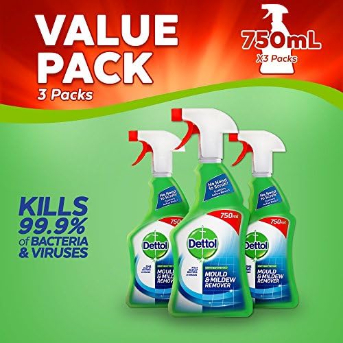 Dettol AntiBacterial Mould and Mildew Remover, 750 ml, Pack of 3