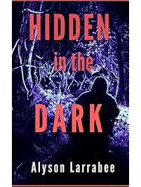 Hidden in the Dark (Harper Flagg Book 1)