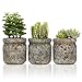 MyGift Set of 3 Realistic Artificial Green Succulent Plants in Rustic Gray Round Mason Jar Style Planter Pots