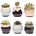 Plant Pots for Succulents, Small Ceramic Planters 2.5 Inch with Drainage, Set of 6 Pots for Plants