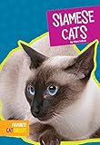 Siamese Cats (Favorite Cat Breeds)