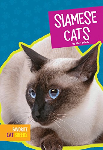 Siamese Cats (Favorite Cat Breeds)
