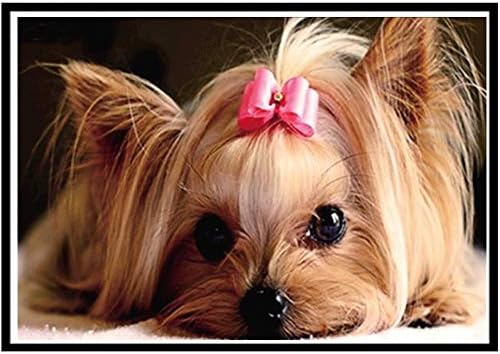 BeautyShe 6d [Dog] Diamond Painting Kits for Adults Kids Set Cup Full Drill Diamond for Home Wall Decor