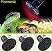 Promondi Ceramic Reptile Heat Emitter Lamp 100W - Heater Bulb for Reptiles, Chicken Coop, Bearded Dragon, Terrarium & Brooder 