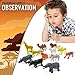 WhizBuilders Outdoor Kids Adventure Kit - Explorer Kit with Binoculars, Animal Figurines, Flashlight, Safari Hat, Magnifying Glass, Compass, Camping Toys for Boys & Girls Age 3-12 Year Old