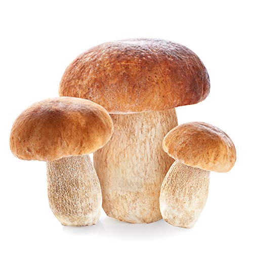 Whole Porcini Italian Mushrooms Frozen - 2.2 lbs.