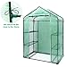 Ohuhu Small Walk-in Plants Greenhouse, 3-Tier 6-Shelf Stands Garden Green House, 56.3
