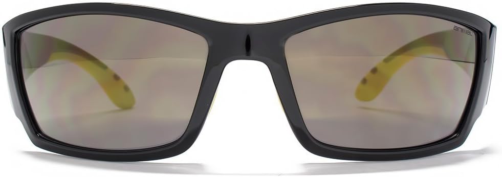 polarized sunglasses with camera