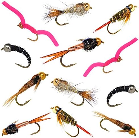 Go-to Trout Fly Fishing Nymph Assortment - 12 Flies