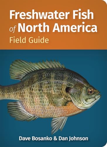 South American Dwarf Cichlids (Aqualog Book, Vol. 1): Dieter Bork