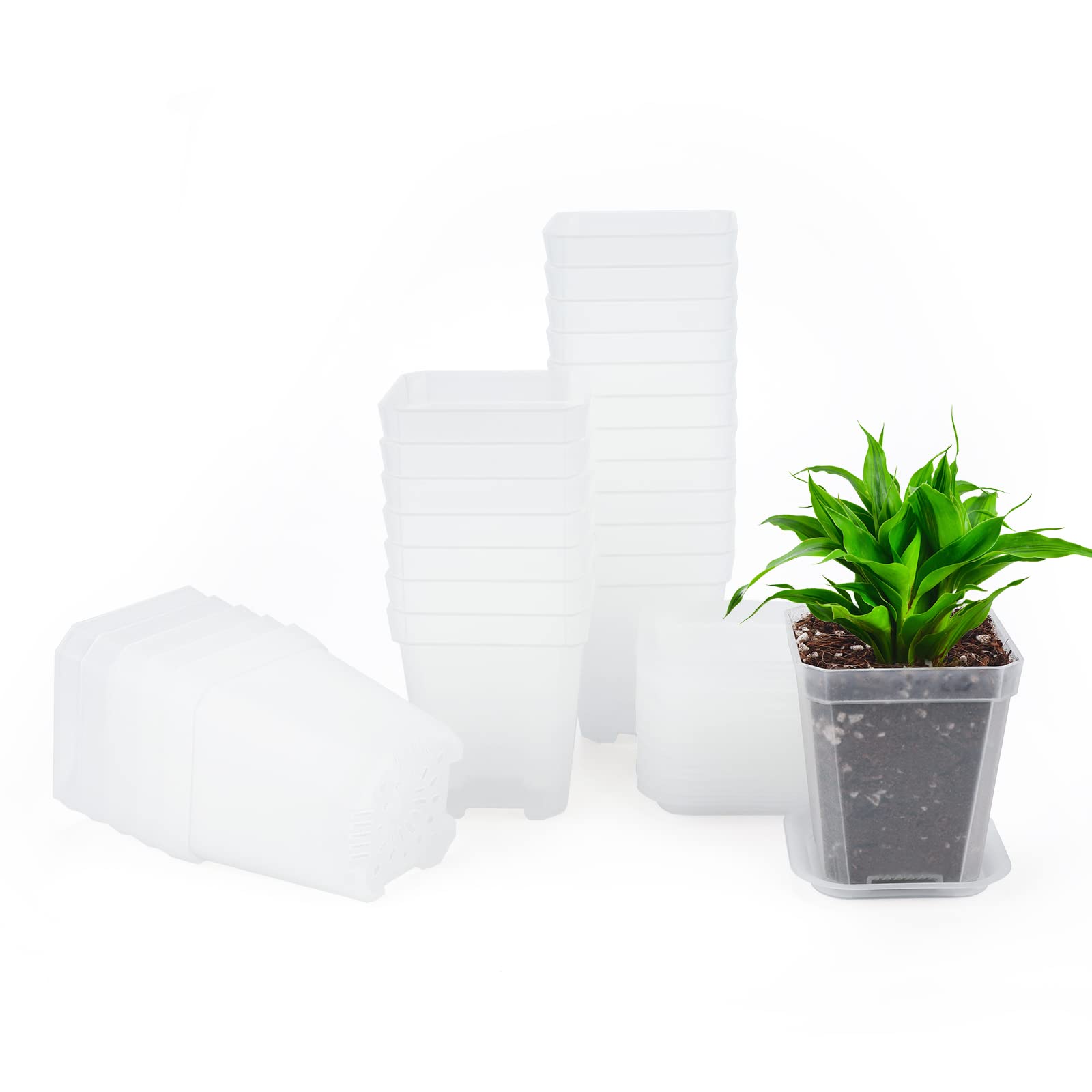 KINGLAKE 24Pcs Plastic Square Plant Pots with Trays, 7cm Thick Seed Seedling Pots, Small Transparent Nursery Flower Pots for Vegetables Cuttings Succulent Cacti