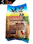 YUMMYWORMS Meal Worm Wild Bird Food, 5 lb