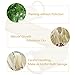 Back Scrubber For Shower by DigHealth, Body Sponge with Natural Loofah for Men and Women