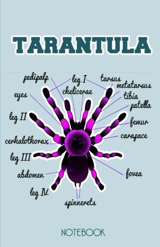 Tarantula Notebook: Blue Spider Notebook with 100 Lined Pages Featuring Anatomy of Tarantulas